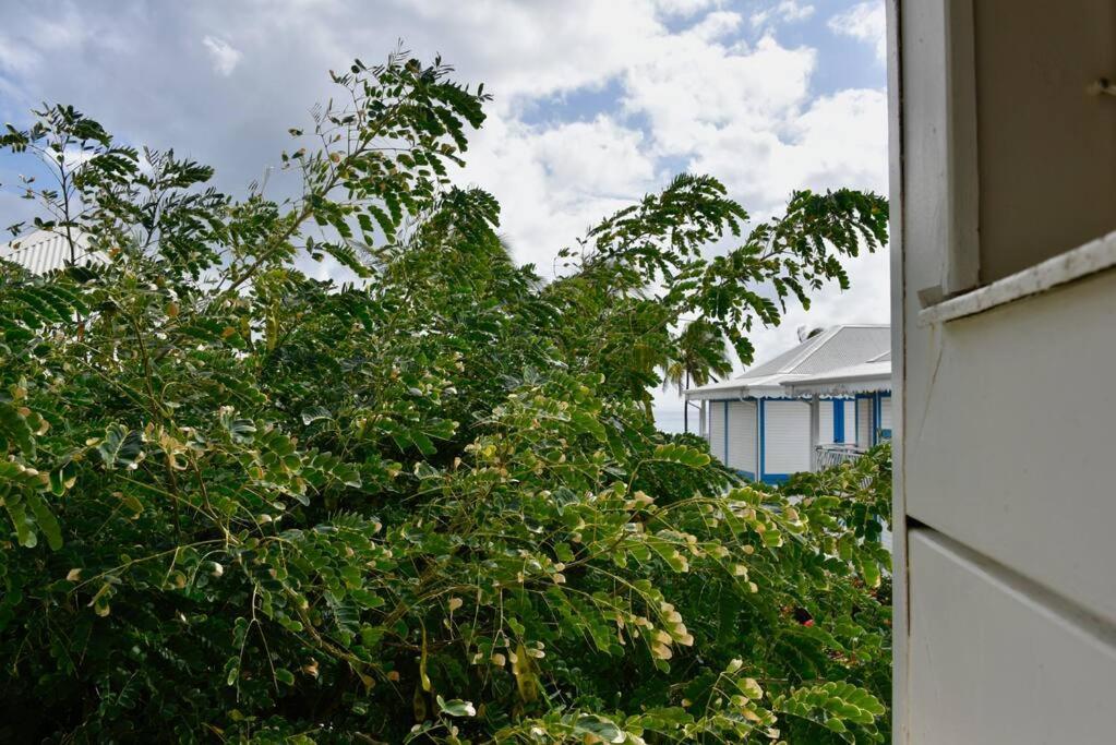 Joli Manga Soley Studio Dans Tres Belle Residence Saint-Francois  Exterior photo